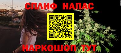 ECSTASY Гай