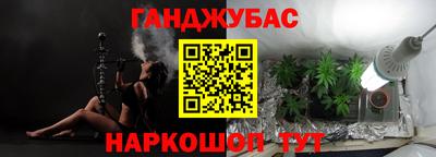 ECSTASY Гай