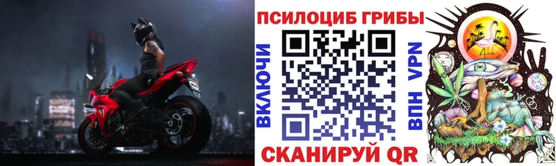 Галлюциногенные грибы мицелий  наркошоп  Мирный 