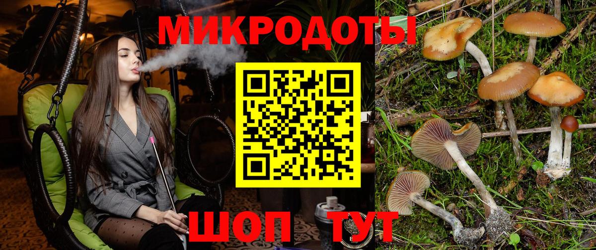 Галлюциногенные грибы прущие грибы  Вход с VPN  Псилоцибиновые грибы мухоморы  Мирный 